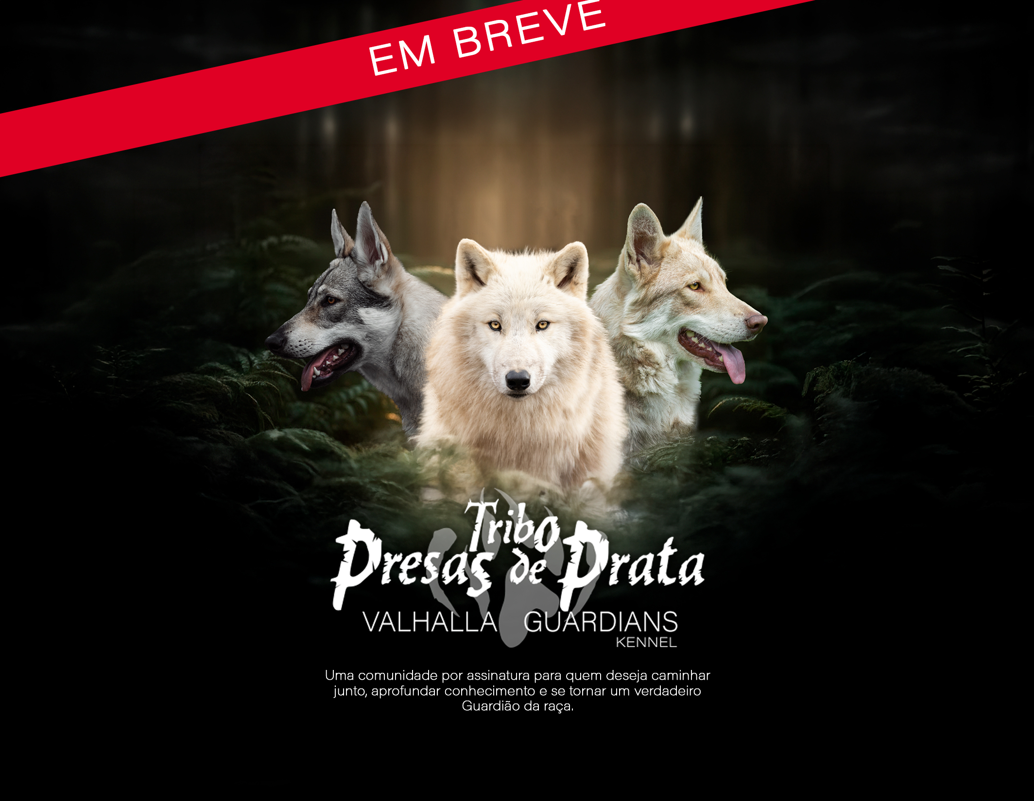 Comunidade de amantes de Cães Lobos