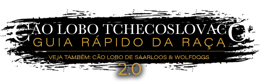 Logo Uivos do Amanhã